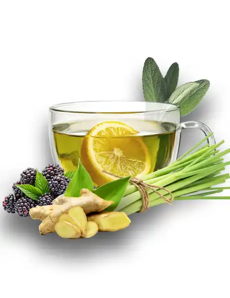 Laguna Lemongrass Clean Fragrance - Clean Fragrances